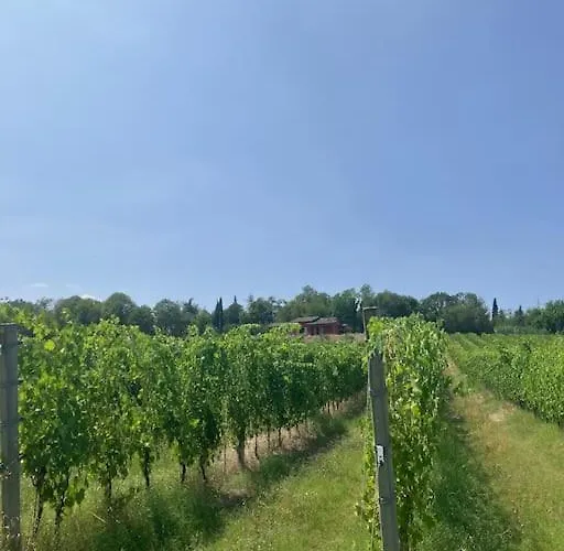 Ibiagi Holiday home Forli